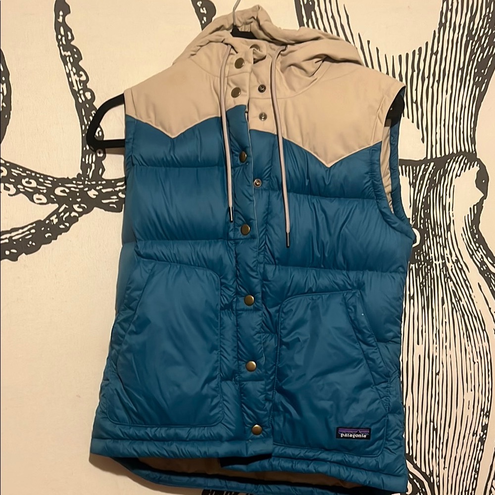 Patagonia Beige Hooded Vest